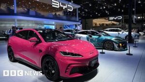 China car giant BYD says it can thrive without US