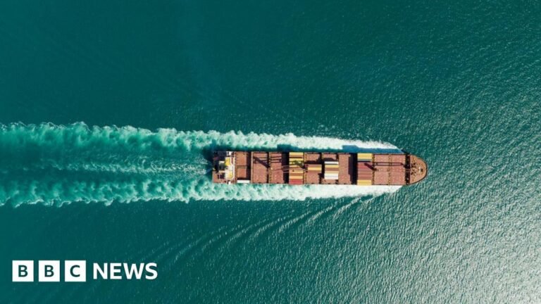 French-owned ship passes through Strait of Hormuz