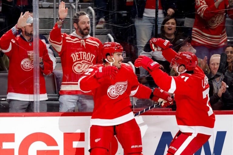 It’s Time for the Detroit Red Wings to Add Some NHL-Calibre Players