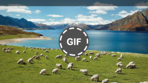 Keindahan Alam Yang Menyentuh Hati