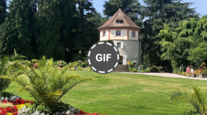 Surga Bunga Tersembunyi Di Danau Constance » Dashofinsight