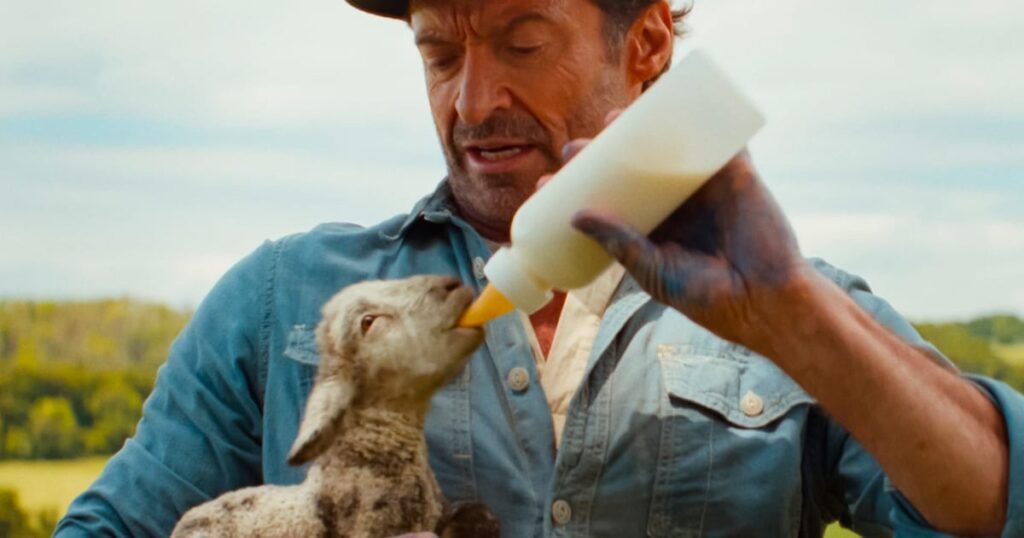 The Sheep Detectives review – cosy doesn’t cover…