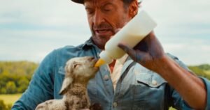 The Sheep Detectives review – cosy doesn’t cover…