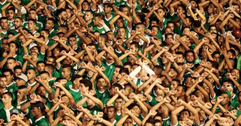 Ultras review – shoots and scores