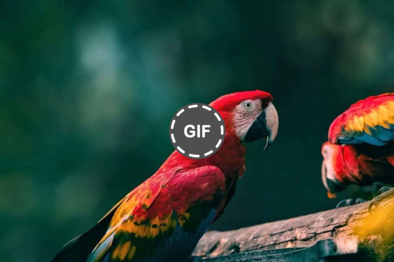 Upaya Penyelamatan Di Ambang Kepunahan » Dashofinsight