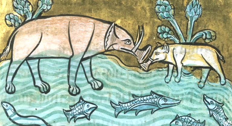 Why Animals Look So Strange in Medieval Manuscripts