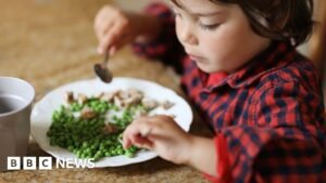 Billions of meals at risk due to Iran war, says fertiliser boss