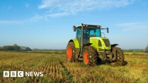 Campaigners call for ban on use of weedkiller glyphosate at harvest time Campaigners call for ban on use of weedkiller glyphosate at harvest time