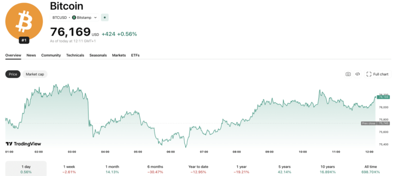 Michael Saylor vs. Peter Schiff: Is the MicroStrategy Bitcoin Bet at Risk?