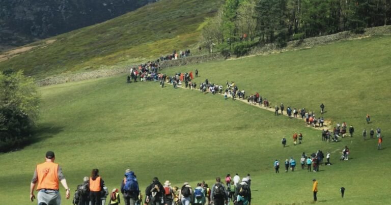 Our Land review – superb doc on the right to roam