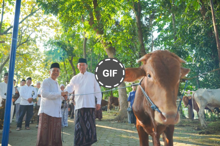Tradisi Kurban Yang Membawa Manfaat Besar Bagi Warga » Dashofinsight Tradisi Kurban Yang Membawa Manfaat Besar Bagi Warga » Dashofinsight