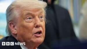 Trump gives 4 July ultimatum to EU to approve trade deal with US