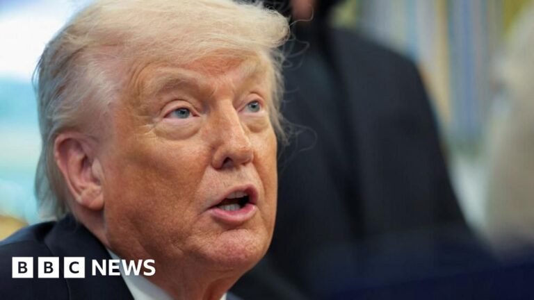 Trump gives 4 July ultimatum to EU to approve trade deal with US