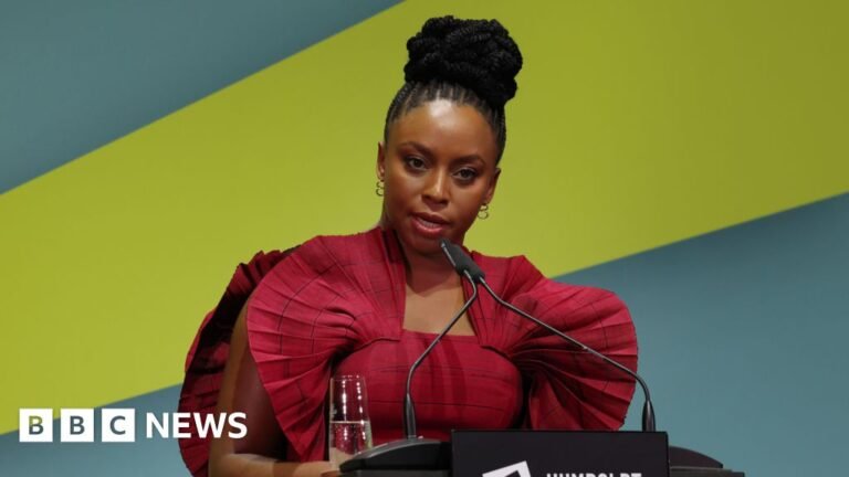Author Chimamanda Adichie accuses hospital of stalling review into son's death Author Chimamanda Adichie accuses hospital of stalling review into son's death