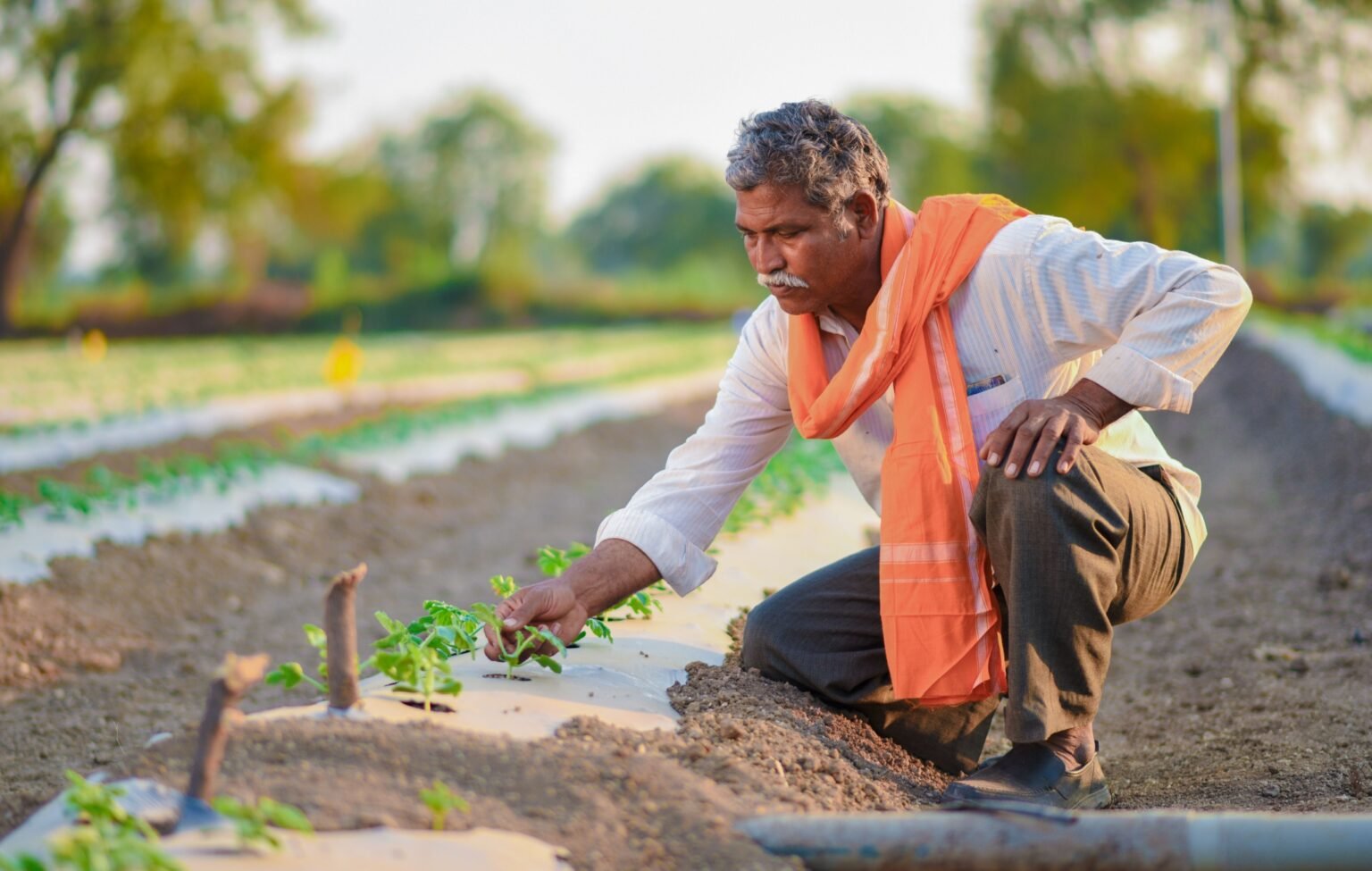 Green Growth: Data Show Freeing Economies Doesn’t Harm the Environment