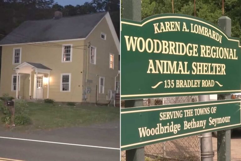 Nearly 30 Alive and Dead Animals Seized from Connecticut Home Following ‘Suspicious Incident’ Nearly 30 Alive and Dead Animals Seized from Connecticut Home Following ‘Suspicious Incident’