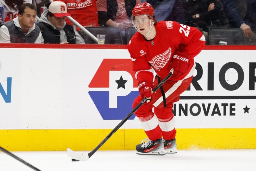 The Detroit Red Wings Could Tempt Teams with their Depth of Prospects The Detroit Red Wings Could Tempt Teams with their Depth of Prospects