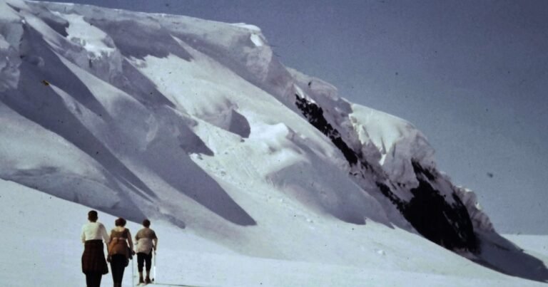 Time and Water review – a lament for a…