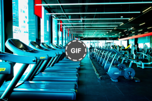 Bisnis Gym Fitness, Peluang Cuan Dari Tren Hidup Sehat » Dashofinsight