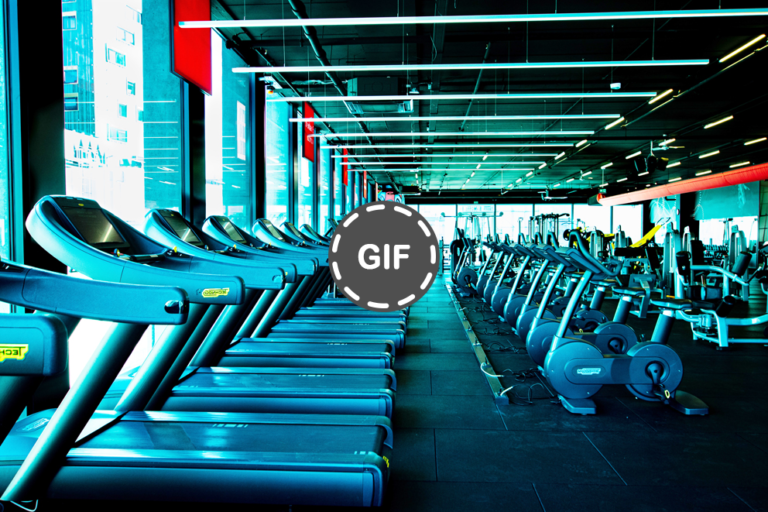 Bisnis Gym Fitness, Peluang Cuan Dari Tren Hidup Sehat » Dashofinsight
