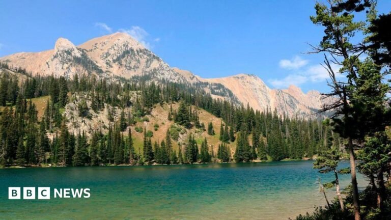 How the ‘Yellowstone effect’ transformed one rugged western American city How the ‘Yellowstone effect’ transformed one rugged western American city