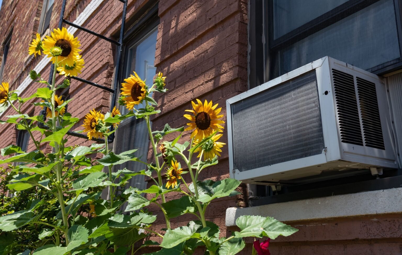 Keeping Cool: The Air Conditioner That Changed America