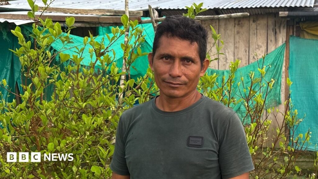 This farmer wanted to quit the cocaine industry – he couldn’t This farmer wanted to quit the cocaine industry – he couldn’t