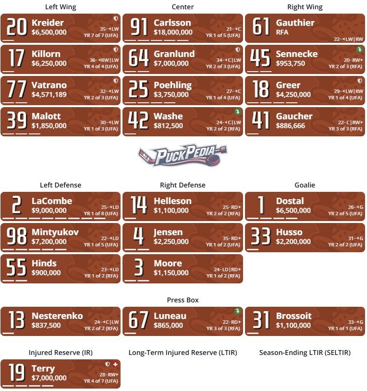 2026-27 Anaheim Ducks Season Preview 2026-27 Anaheim Ducks Season Preview