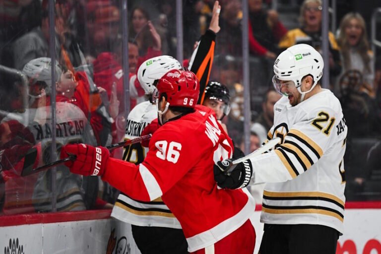 NHL Rumors: Detroit Red Wings and Bargain Free Agents