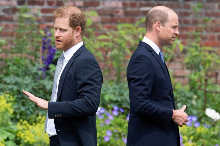Prince Harry’s U.K. Move Is ‘Best Opportunity to Heal Rift’ with Prince William (Exclusive Source)