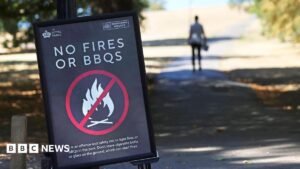 Temporary disposable barbecue ban over wildfire risk Temporary disposable barbecue ban over wildfire risk