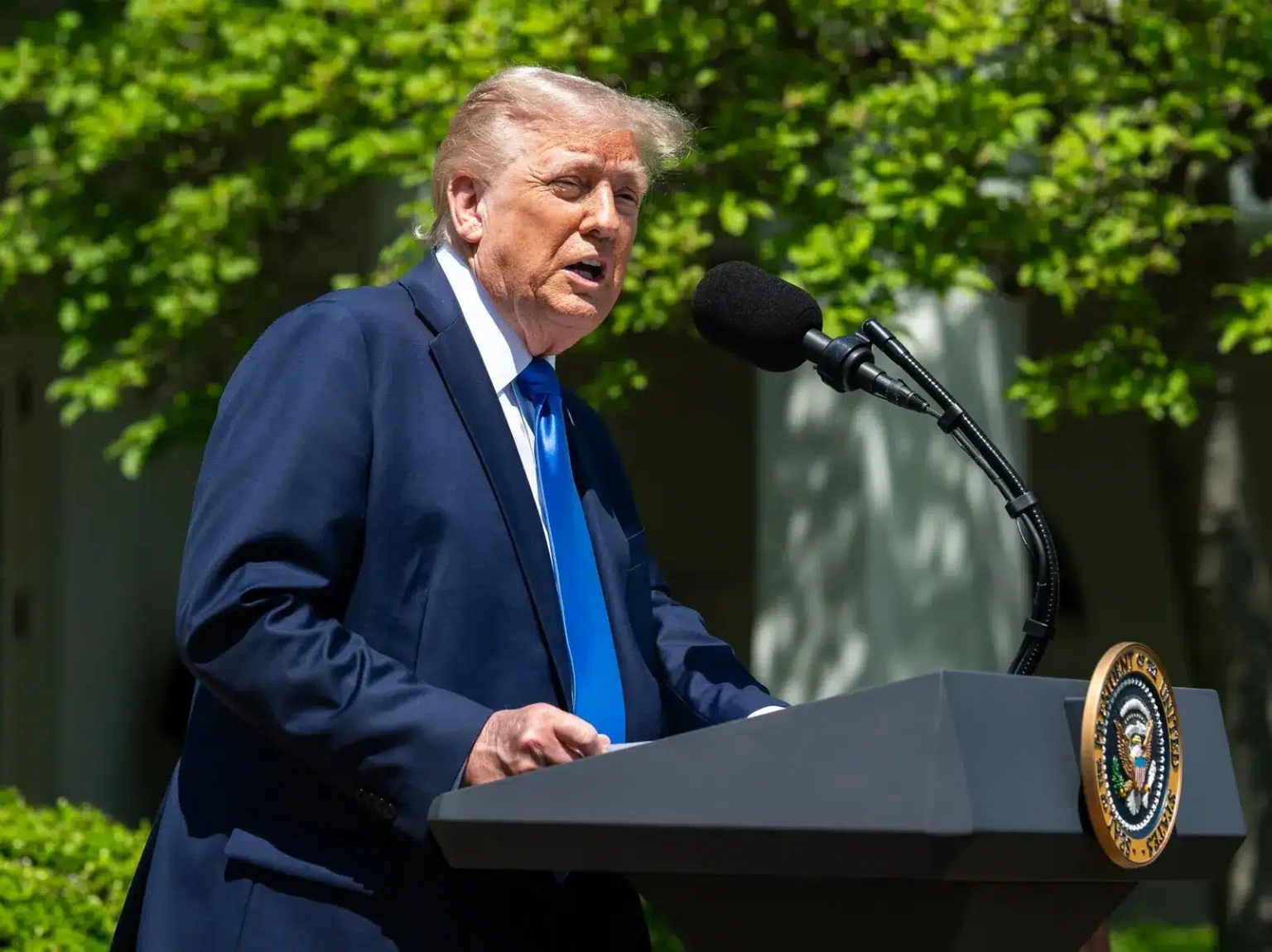 Trump Comments Send Hyperliquid Above  as Options Draw Scrutiny