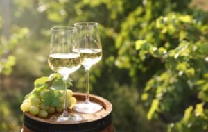 What Slaughtered Pigs Can Teach Us About Europe’s Wine Policy What Slaughtered Pigs Can Teach Us About Europe’s Wine Policy