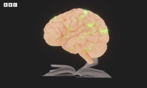 How Reading Changes the Way Your Brain Works