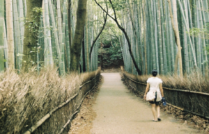 How the Japanese Practice of “Forest Bathing”—Or Just Hanging Out in the Woods—Can Lower Stress Levels and Fight Disease How the Japanese Practice of “Forest Bathing”—Or Just Hanging Out in the Woods—Can Lower Stress Levels and Fight Disease