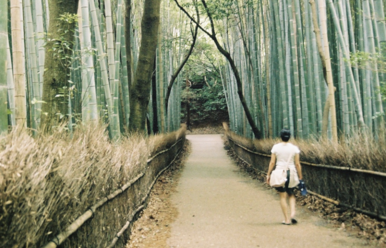 How the Japanese Practice of “Forest Bathing”—Or Just Hanging Out in the Woods—Can Lower Stress Levels and Fight Disease