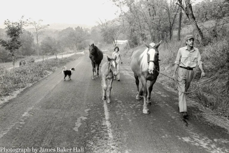 Wendell Berry and the Promise of the Deep Life Wendell Berry and the Promise of the Deep Life