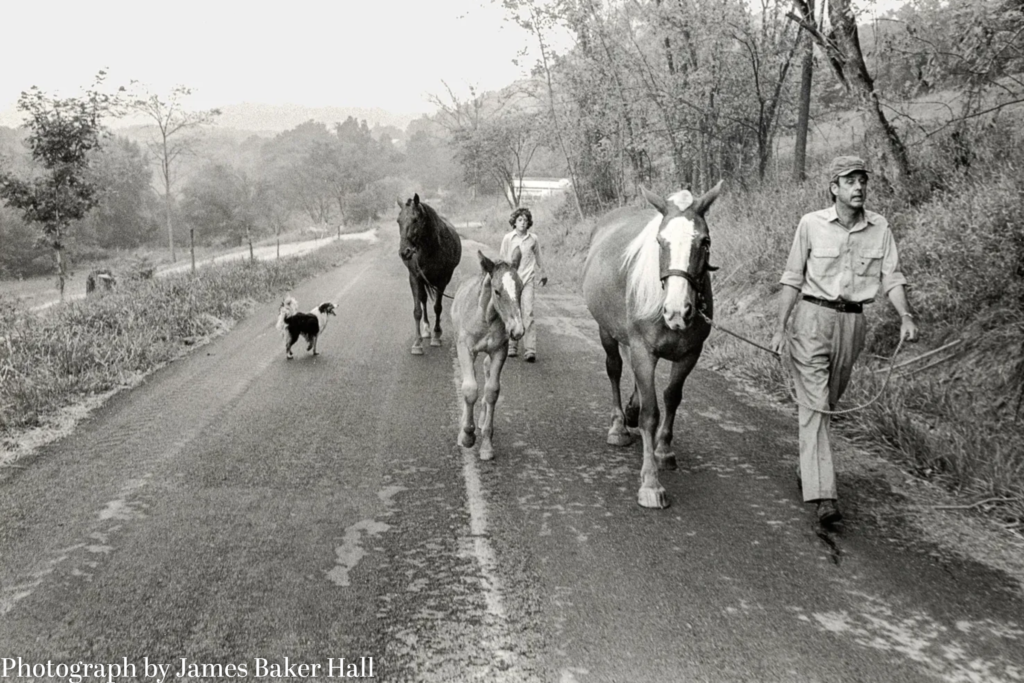Wendell Berry and the Promise of the Deep Life Wendell Berry and the Promise of the Deep Life