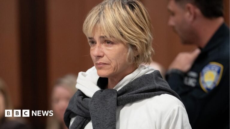Actress Selma Blair says she ‘did not intend to harm anyone’ in plane altercation