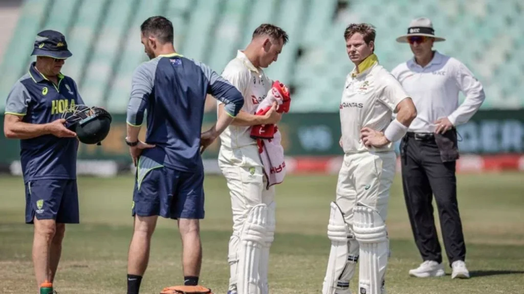 Anrich Nortje delivery leaves Steve Smith requiring concussion assessment