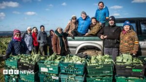 Cornish gleaning group hits million milestone for food banks