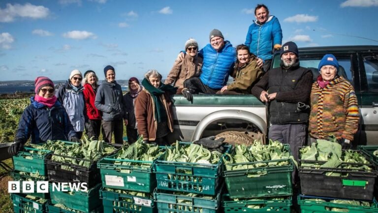 Cornish gleaning group hits million milestone for food banks Cornish gleaning group hits million milestone for food banks