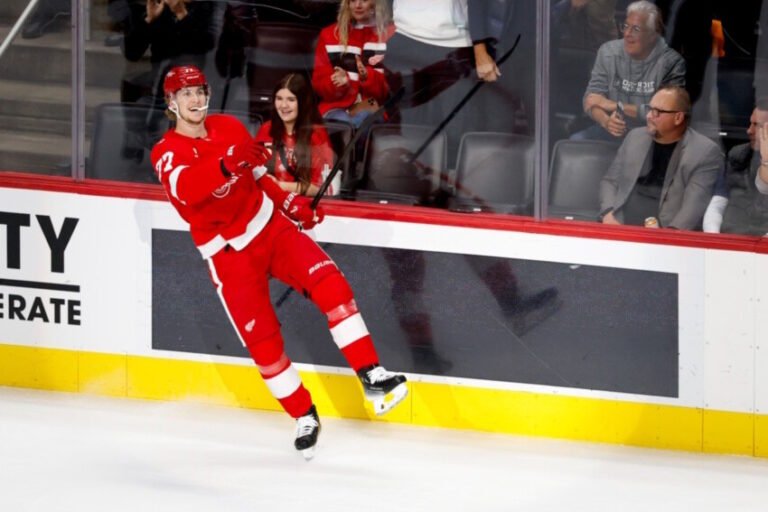 The Detroit Red Wings Made a Big Offer to Simon Edvinsson, But They’ll Need to go Higher The Detroit Red Wings Made a Big Offer to Simon Edvinsson, But They’ll Need to go Higher