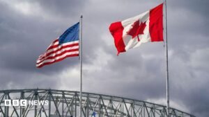 US lifts tariffs on some Canadian goods before midterm elections US lifts tariffs on some Canadian goods before midterm elections