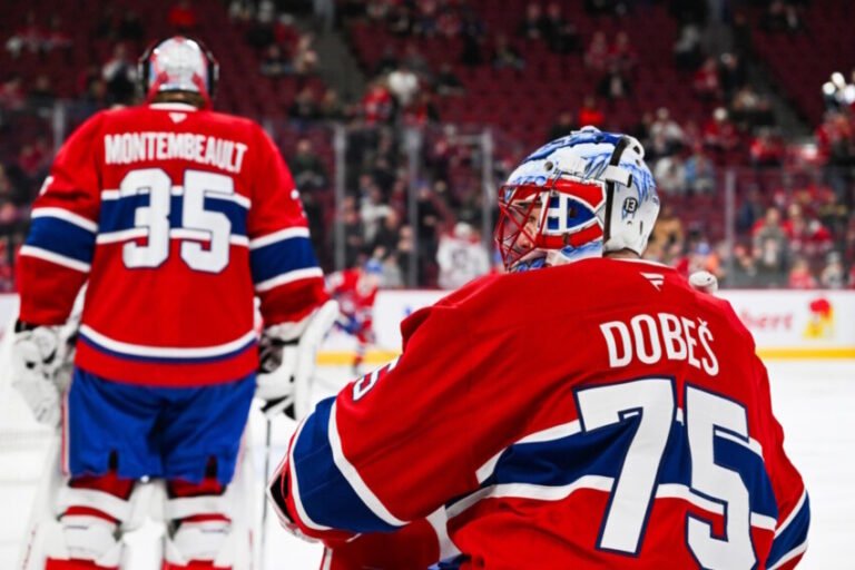 What is the Montreal Canadiens Plan Between the Pipes? What is the Montreal Canadiens Plan Between the Pipes?