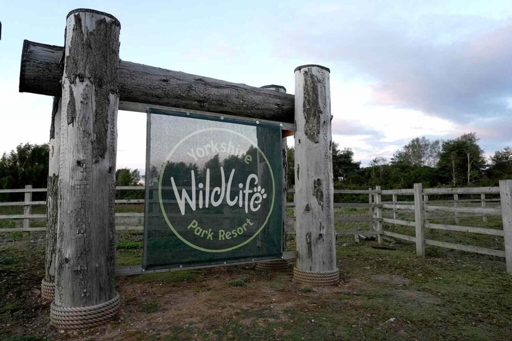 Wildlife Park Reopens After 24-Year-Old Man Killed by Tiger in Enclosure Wildlife Park Reopens After 24-Year-Old Man Killed by Tiger in Enclosure