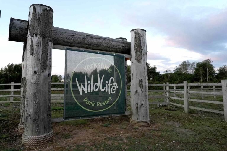 Wildlife Park Reopens After 24-Year-Old Man Killed by Tiger in Enclosure